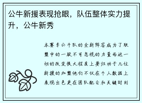 公牛新援表现抢眼,队伍整体实力提升,公牛新秀